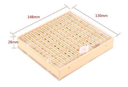 Apicultura Completo Kit De Cria De Reina Tazas Caja Celda De