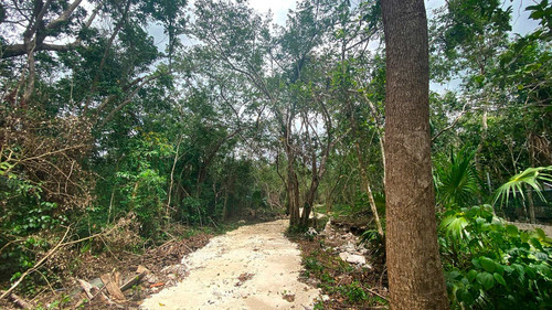 Imagen 4 de 13 de Hermosos Terrenos Titulados En Zona Urbana De Puerto Morelos