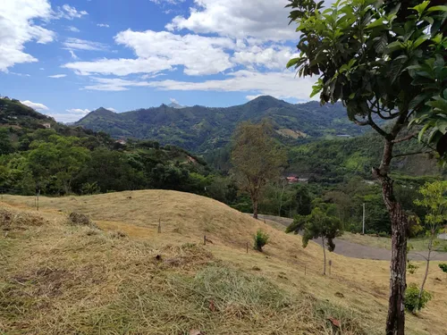 Lote En Venta En La Vega. Cod V1093026