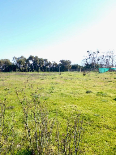 Parcela En Venta En Olmué