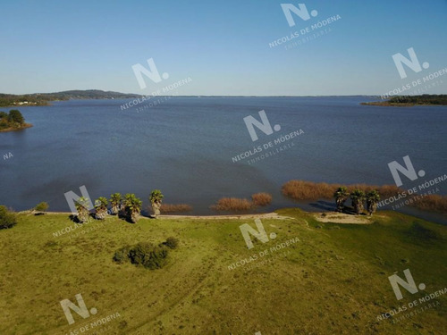 Imagen 8 de 14 de Chacra En Venta Laguna Del Sauce - Punta Ballena Laguna Del Sauce