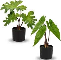 Comprar Plantas Falsas Juego De 2 Plantas Artificiales De Alocasia