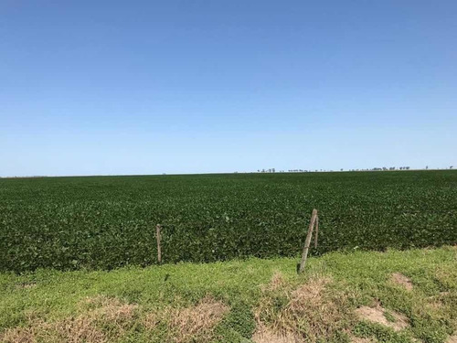 Imagen 3 de 8 de 932 Hectareas. ( A 30 Km Noetinger. Cba)