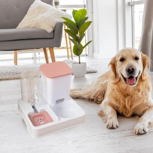 Alimentador Automático De Gatos 2 En 1 Alimentador Y