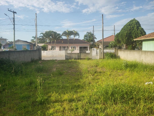 Terreno À Venda, 200 M² Por R$ 120.000,00 - Aririú Da Formiga - Palhoça/sc - Te0910