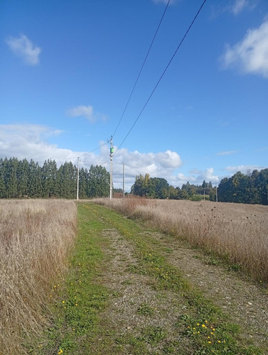 Terreno Ubicado A 6 Km De La Union, Sector Cudico