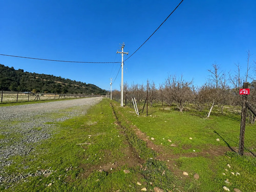 Parcela 5000m2 En Proyecto Los Avellanos, Zapallar, Curicó