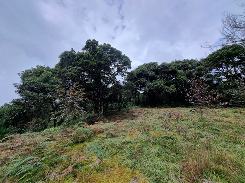 Venta De Lote En Santa Elena Vereda El Plan