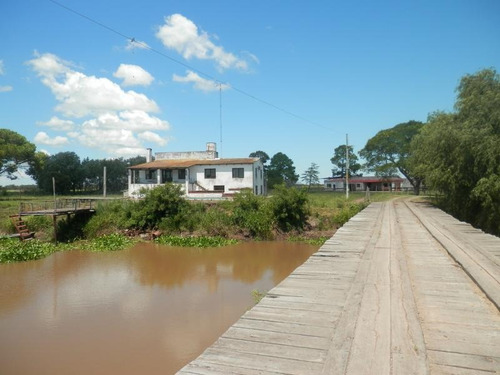 Estancia Isla Vizcaino 1569ha Ganadero Agricola Rio Negro Y Rio Uruguay
