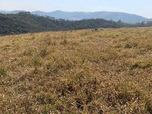 Imagem 6 de 14 de 54ne- Terreno 1000m2 R$40.000 Mil -localização Na Descrição