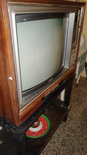Televisor Dañado Para Repuesto (Usado)