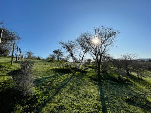 Sitio En Venta En Melipilla 2 Hectáreas