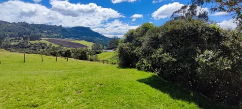 Lote En Venta En Vereda San Rafael. Cod V13714