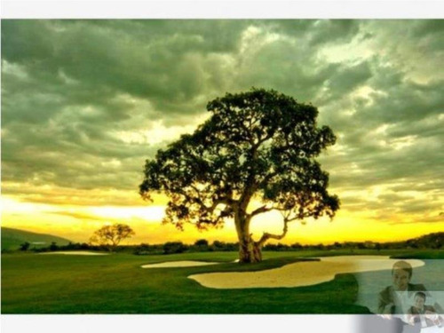 Imagen 6 de 9 de Terreno Dentro Del Exclusivo Paraiso Country Club