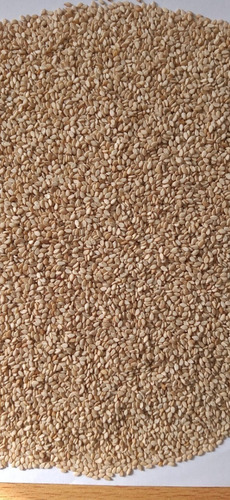 Semilla De Sesamo Integral Precio Por Bolsa De 25 Kg