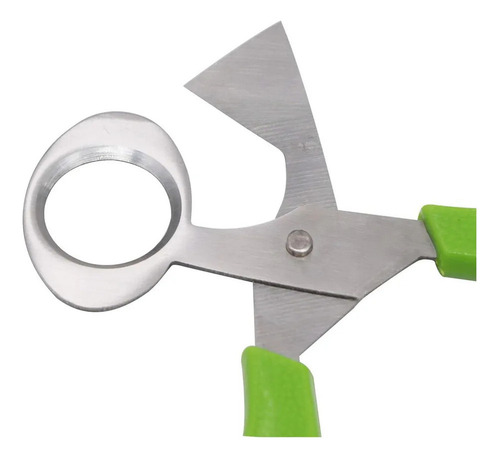 Y Cortador Huevos Codorniz Acero Inoxidable Pack 12 /56