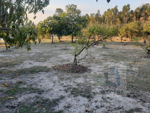 Imagem 14 de 24 de *** Chácara Com 03 Dormitórios Em Mairinque ***