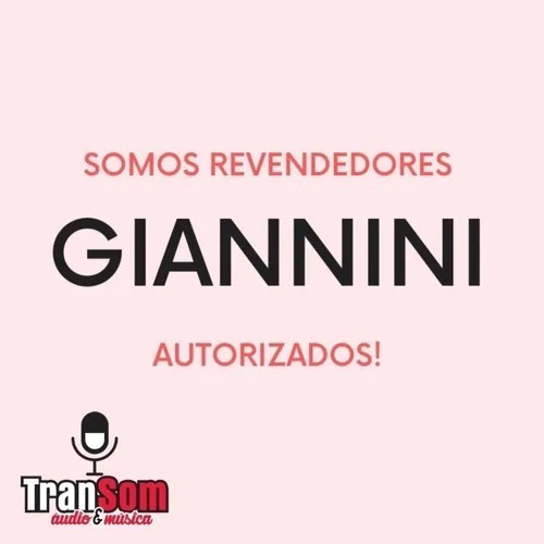 Imagem 2 de 2 de Jogo De Cordas Violão Aço 010 Giannini Encordoamento Bolinha