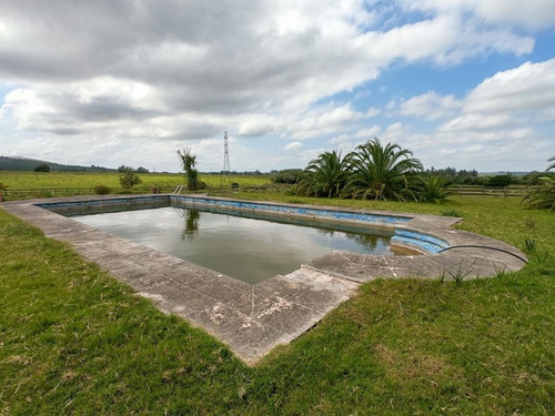 Chacra En La Pataia, Punta Ballena