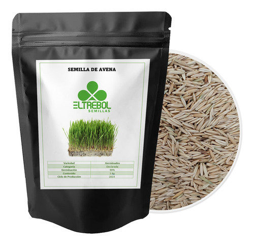 Semilla De Avena Para Sembrar O Germinados (1 Kg)