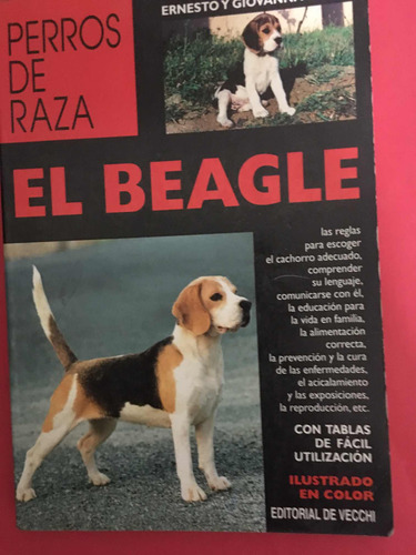 El Beagle Origen Y Estandar.ernesto Y Giovanna Capra (Usado)