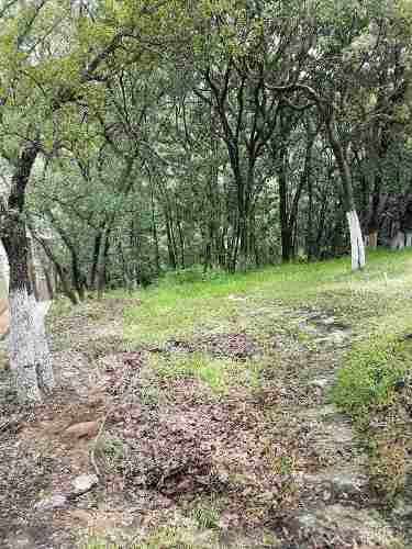 Imagen 3 de 10 de Terreno En Venta Para 5 Residencias En Sayavedra