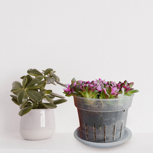 Macetas De Vivero Para Jardinería, Macetas Para Plantar Orqu