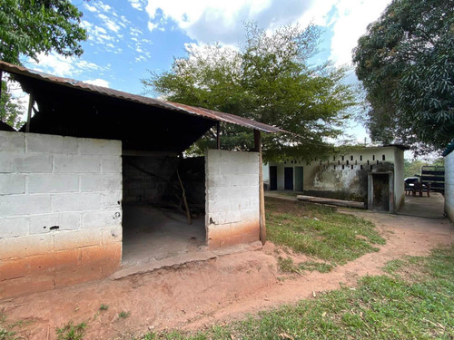 Imagen 8 de 13 de Finca En Venta San Juaquin De Navay