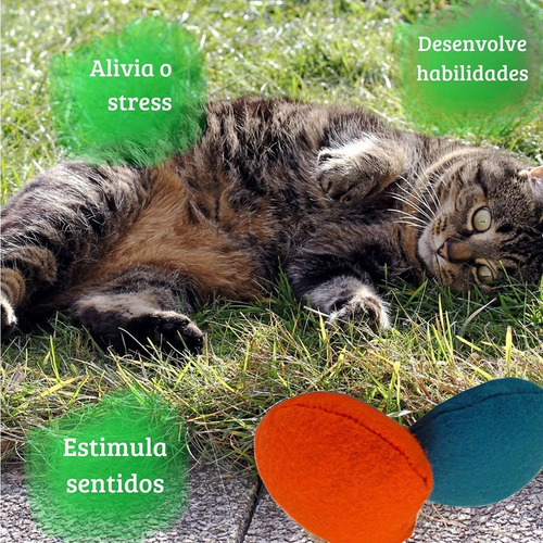 Brinquedo P/ Gato 2 Bolinhas Bolas Com Catnip Feltro