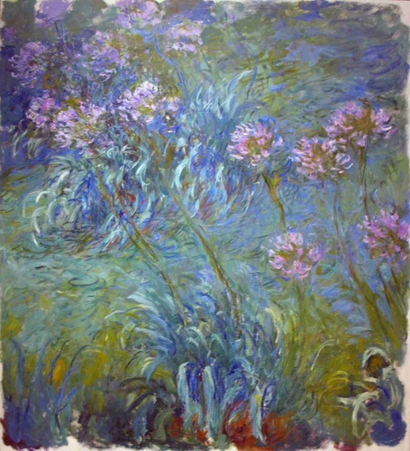 Lienzo Canvas Arte Claude Monet Agapanto 1914 Francia 50x46