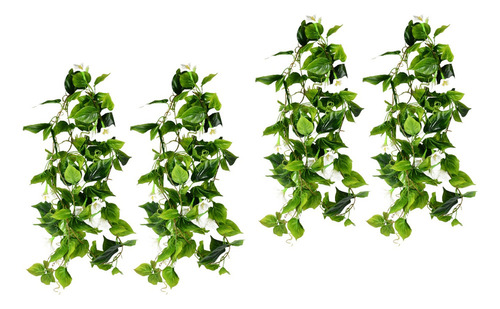 , 4 Plantas Verdes Colgantes Morning Glory, Enredaderas ,