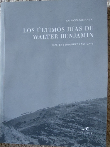 Los Ultimos Dias De Walter Benjamin