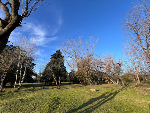 Lote En Venta En Villa Elisa Calle 407 Y 21 - Barrio Privado Las Alondras