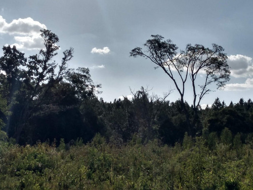 Imagen 15 de 19 de Chacra En San Javier 3 Esquinas