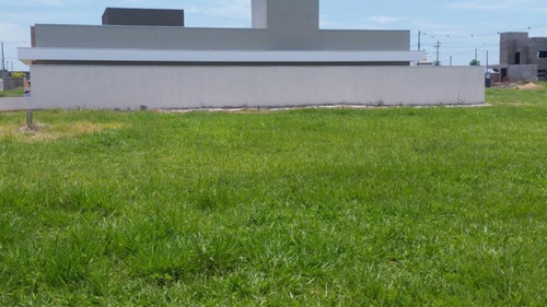 Imagem 15 de 15 de Terreno Residencial Para Venda Em Marília, Jardim São Domingos - Te1011_2-685200