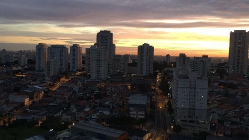 Apartamento Para Venda, 2 Dormitórios, Vila Das Mercês - Guarulhos - 1146