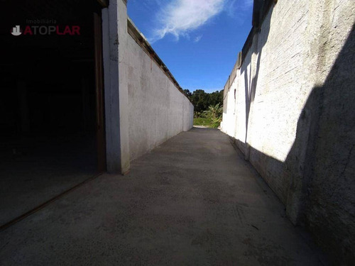 Imagem 8 de 11 de Barracão Para Alugar, 225 M² Por R$ 4.000,00/mês - Perequê - Porto Belo/sc - Ba0002