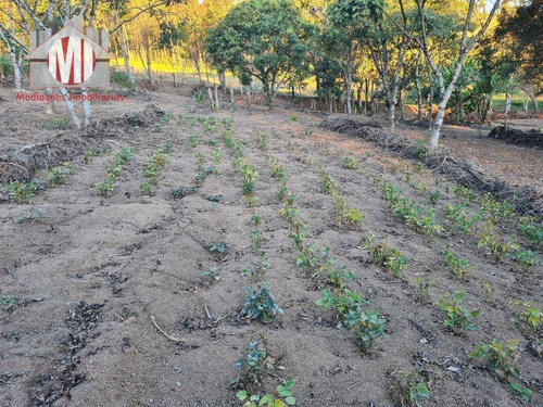 Imagem 24 de 30 de Ótima Chácara Com 4 Dormitórios, Edícula, Salão De Jogos, Pomar, Horta, Bem Localizada, À Venda, 5000 M² Por R$ 630.000 - Zona Rural - Pinhalzinho/sp - Ch0984