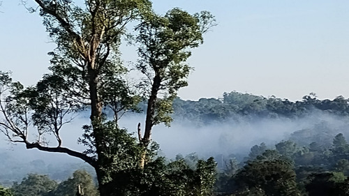 Para Conectarse A La Naturaleza En San Ignacio