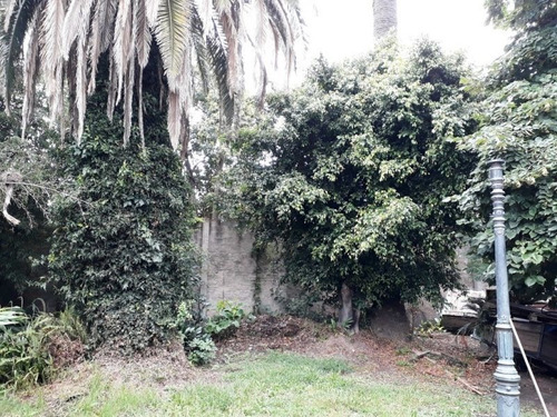 Imagen 2 de 6 de Terreno En Venta En Muñiz