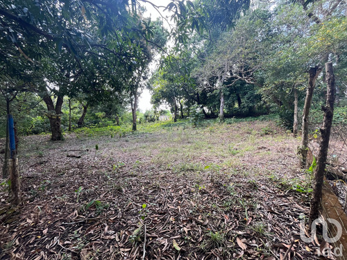 Venta Terreno 0 Ambiente Jorge L Tamayo