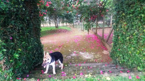 Imagem 6 de 13 de Chácara Em Ibiuna Cod:631