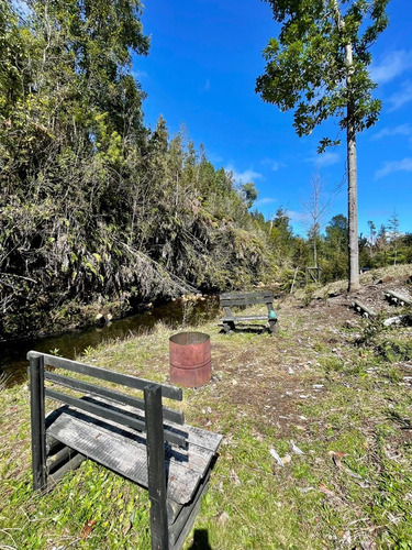 Se Vende Parcela + 2 Cabañas A Orilla De Rio Colonia La Poza