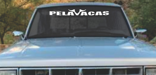 Sticker 1 Pieza Pelavacas 100 X 12 Cms