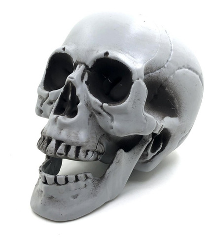 Cráneo - 20 X 16 X 15 Cm - Universo Mágico - Halloween