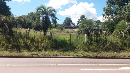Area - Ar00007 - 68772282