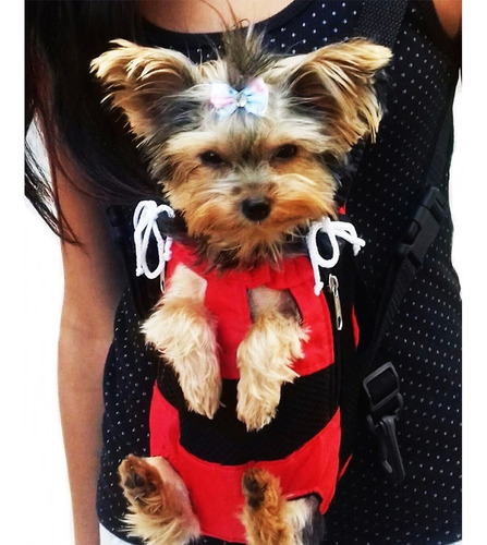 Bolsa Para Motos Transporte Frontal Canguru Cães Cachorro Gg