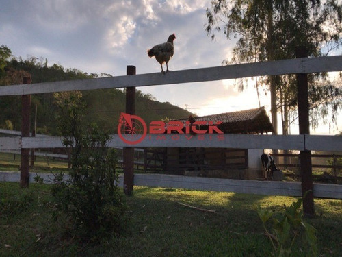 Imagem 26 de 30 de Excelente Haras Com 58.400 M² Em Petrópolis - St00141 - 34619909
