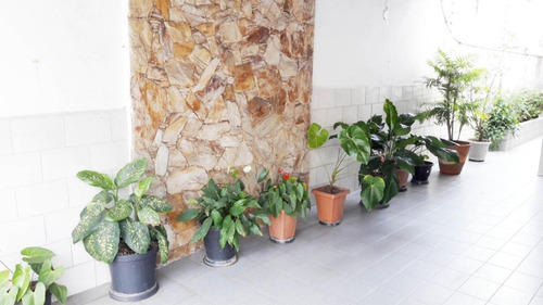 Sobrado Com 3 Dormitórios À Venda, 182 M² Por R$ 550.000 - Vila Buenos Aires - São Paulo/sp - So6449