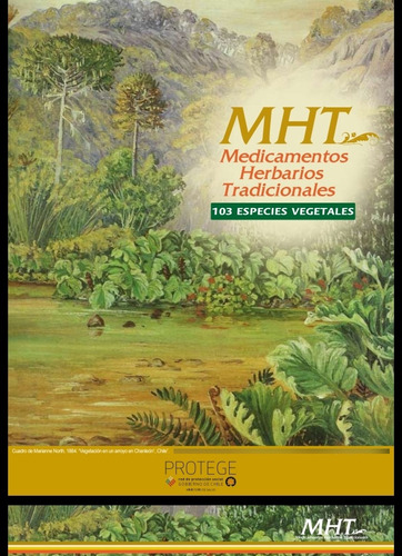 Herbolaria Plantas Medicinales